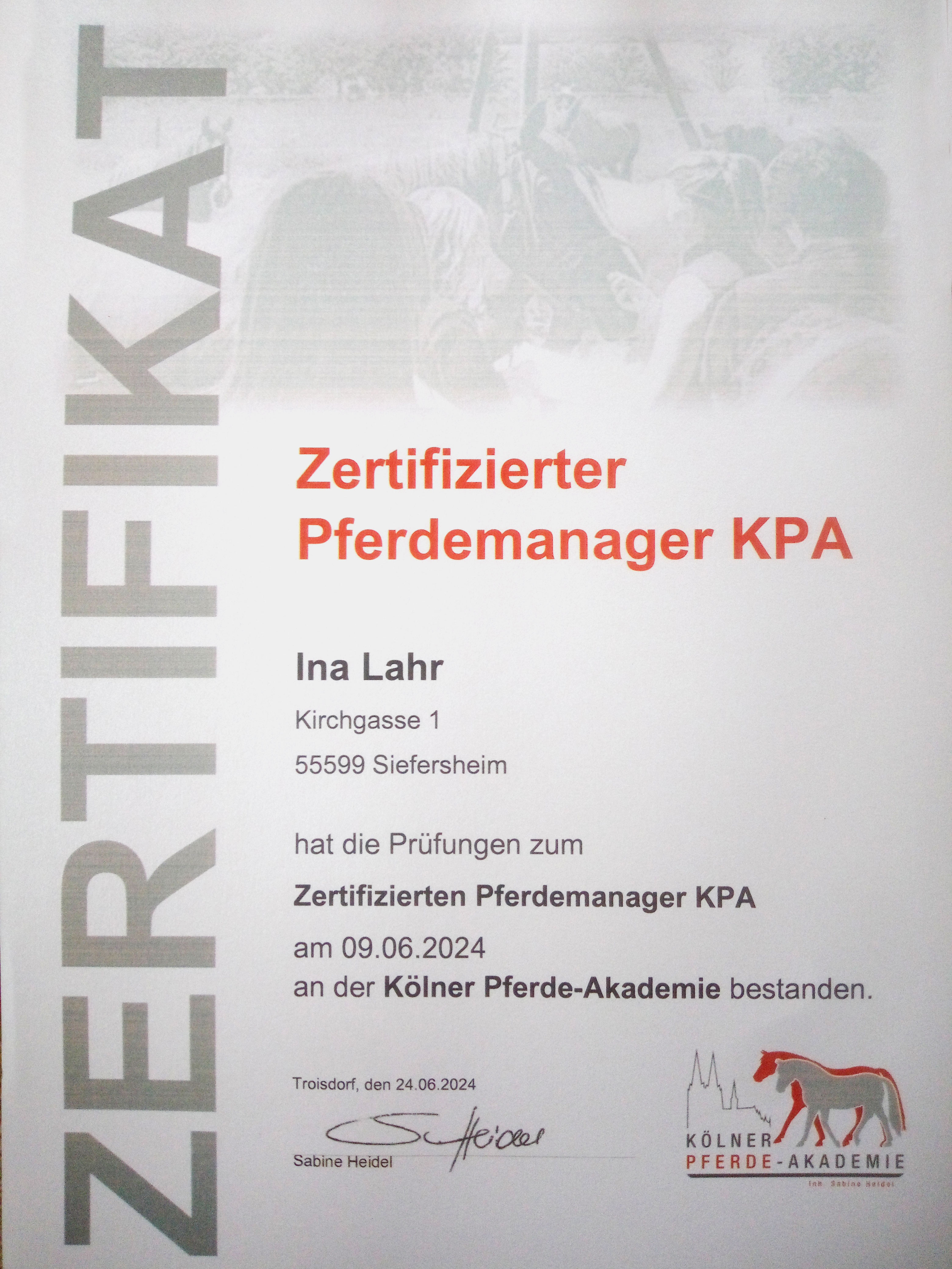 Zertifikat Pferdemanager